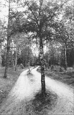 Grsplneindustri i Grenaa Plantage? Meningerne var delte ved et debatmde om den nye kommuneplan i Kulturhuset Pavillonen tirsdag aften i sidste uge