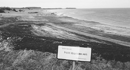 Jo, man skal holde stranden ren