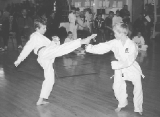 Michael Harrington i kamp
