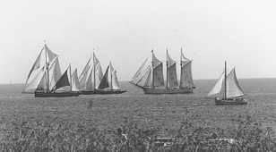 Cirka 50 sejlskibe - fortrinsvis gamle trskibe - gster Grenaa Havn fra sndag den 25. juni og cirka en uge frem. Der er tale om r 2000-udgaven af Nordisk Sejlads