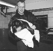 Biolog Jrgen Mller kan fortlle, at Kattegatcentrets to sler Sally og Molly - her ses den ene af de to Anholt-hylere - er blevet nogle store piger. Dels vejer de hver isr omkring 45 kilo, og dels fyldte de et r den 13. juni