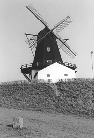 Baunhj Mlle