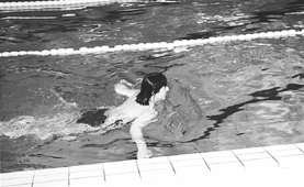 Grenaa Svmmeklub vil igen i r satse p at skaffe penge til klubbens bedste svmmer via begrebet sponsor-svmning, der blev introduceret med stor succes sidste r ved samme tid