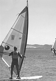 Windsurfer