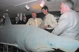 Prins Henrik i Kattegatcentret (1 af 3)