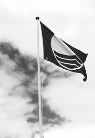 blaa_flag.gif (36833 bytes)