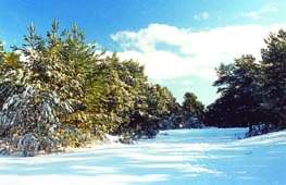 vinter1.jpg (10285 bytes)
