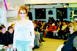 3-modeshow-4-fv.jpg (18781 bytes)
