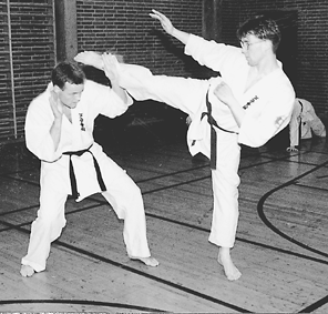karate.gif (76572 bytes)