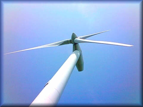 moelle-stor.jpg (86809 bytes)