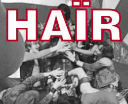 Hair.jpg (13688 bytes)