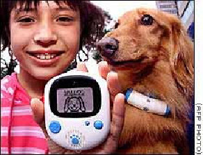 VOV-vov.jpg (31274 bytes)