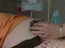 Gravide-boer-stoppe-med-tobak.jpg (10483 bytes)