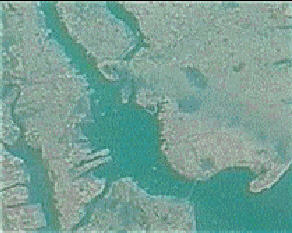 Roegen-set-fra-rummet.jpg (17886 bytes)