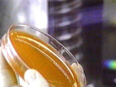 24oktmiltbrandPakistan400.jpg (32823 bytes)