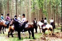 Skovtur.jpg (48113 bytes)