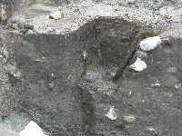 PA253888.jpg (5602 bytes)