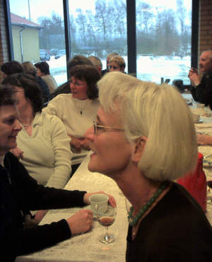 SVI_0013.jpg (20433 bytes)